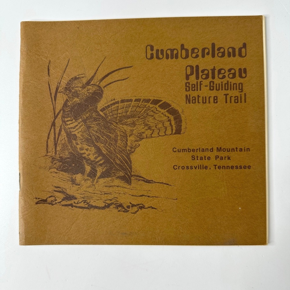 Vintage Cumberland Plateau Self Guiding Nature Trail Booklet Crossville TN Illus